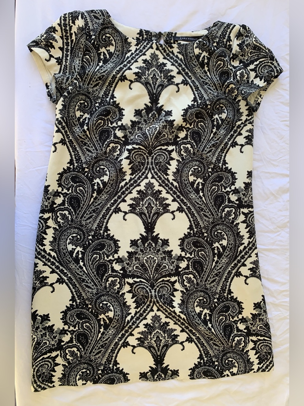 Zara Woman Paisley Mini Dress